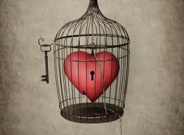 heart cage